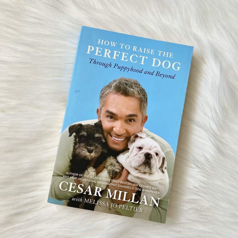 (💚4/$20) Book: “How to raise the perfect dog” by Cesar Millan